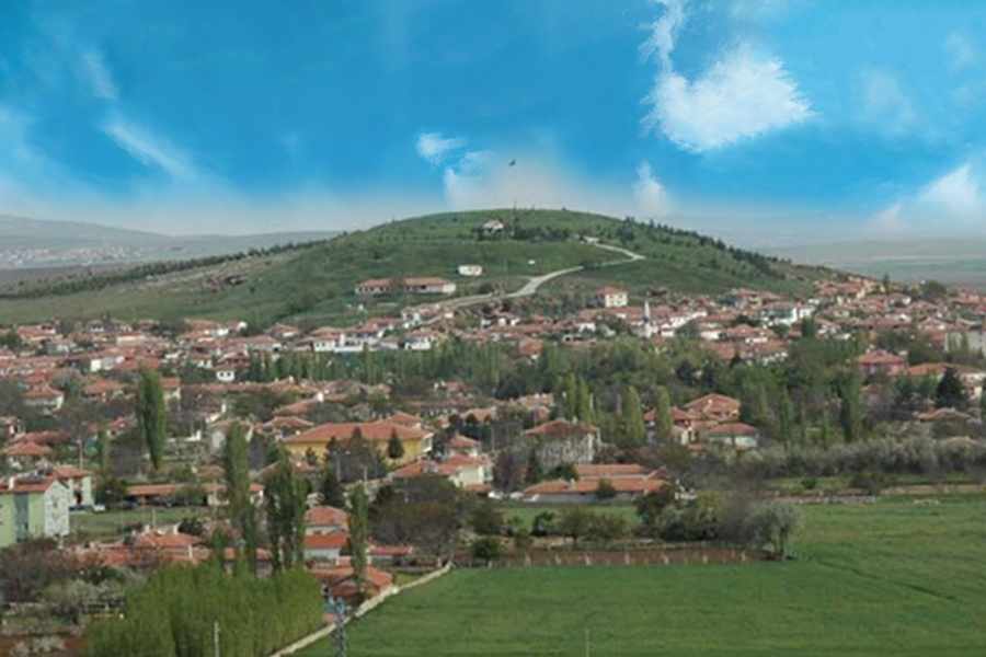Resim