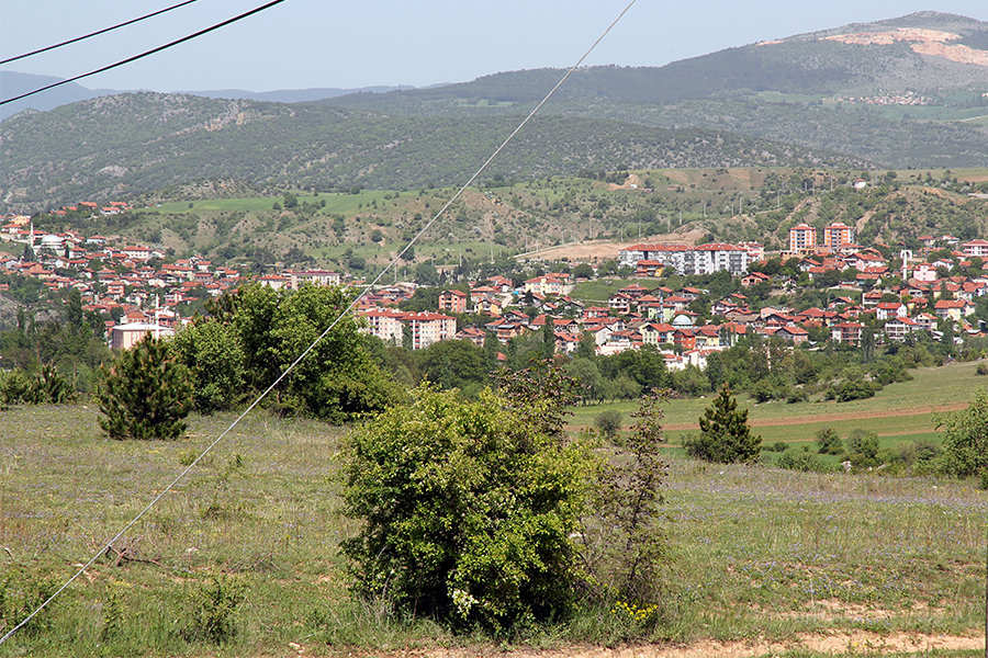 Resim
