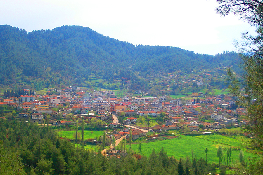 Resim