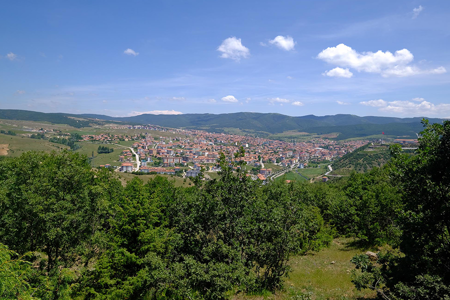 Resim