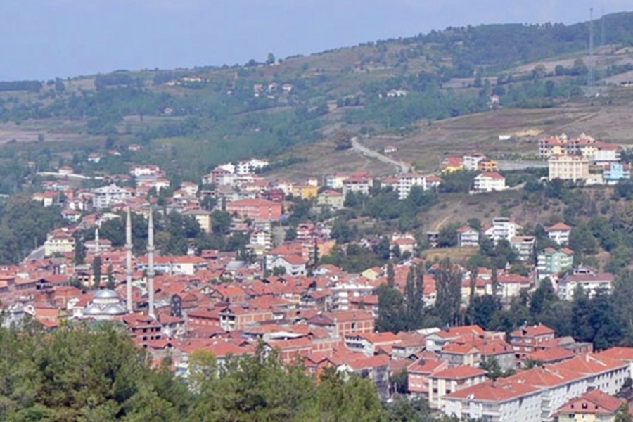 Resim