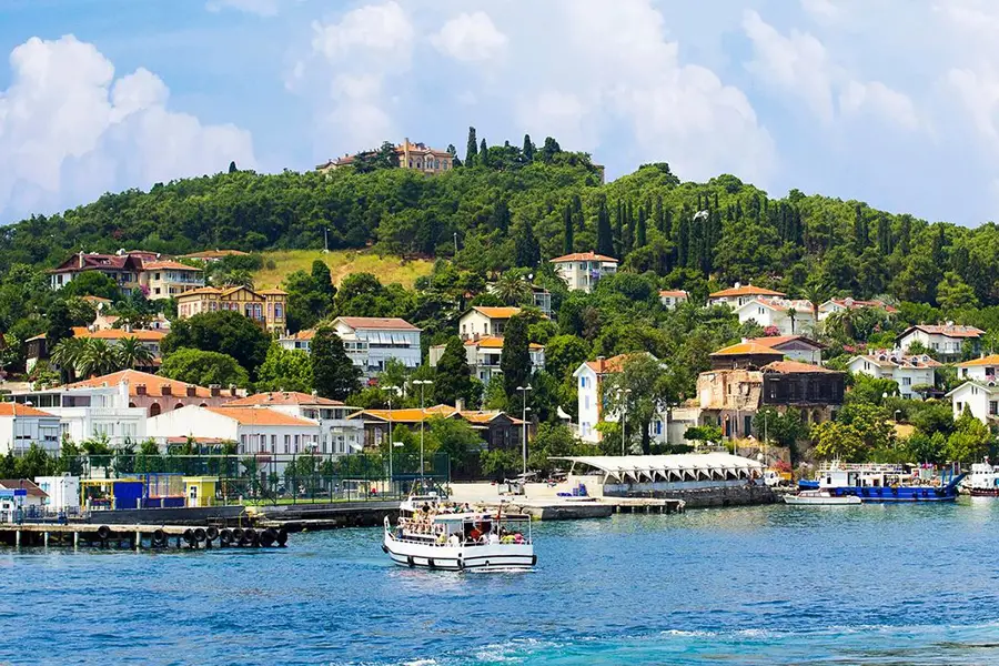 Adalar OSGB Sağlık Raporu