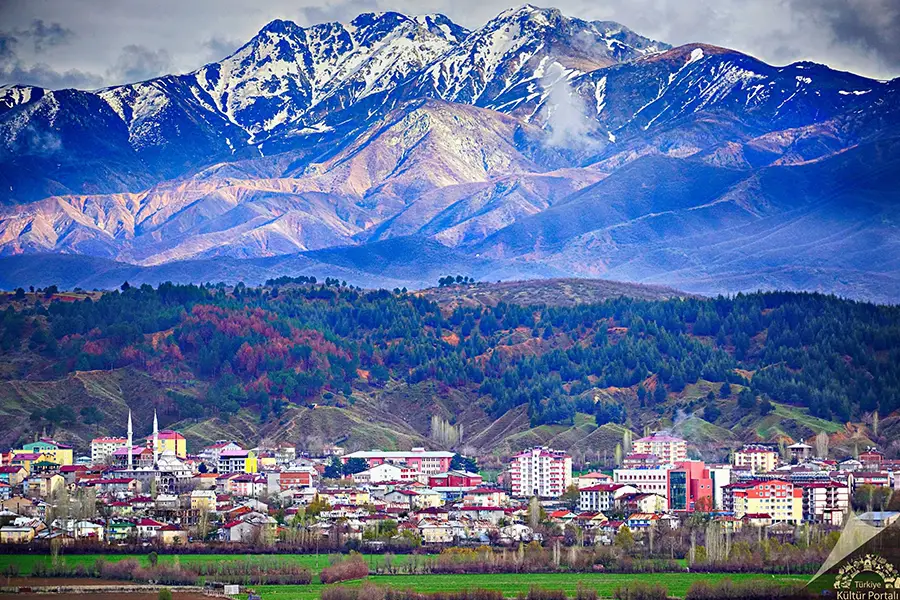 Bingöl OSGB Sağlık Raporu