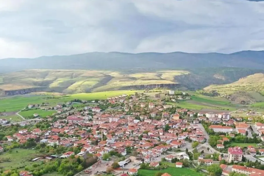 Güdül OSGB Sağlık Raporu