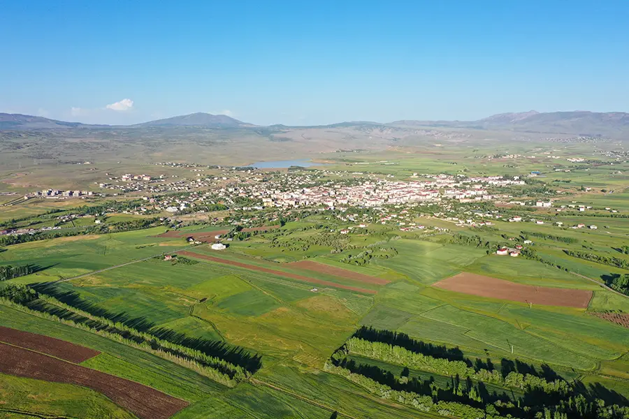 Karakoçan OSGB Sağlık Raporu
