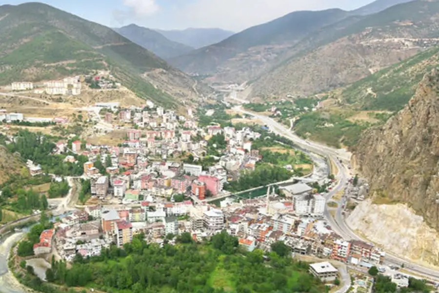 Torul OSGB Sağlık Raporu
