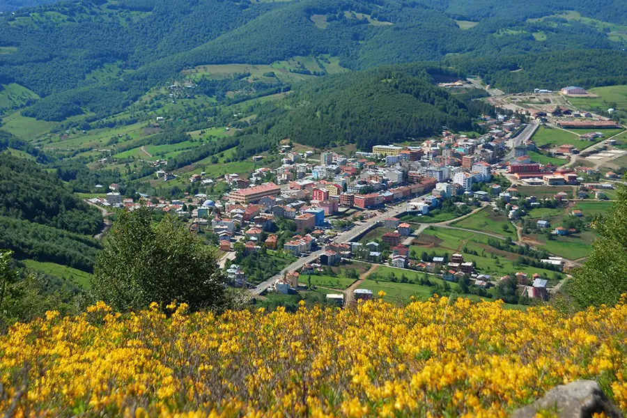 Akkuş OSGB Sağlık Raporu