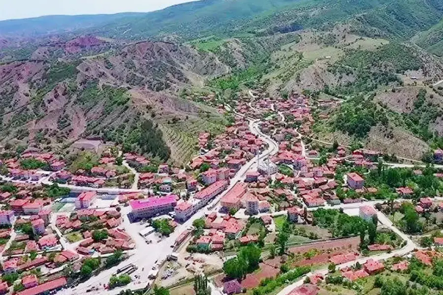 Aydıncık OSGB Sağlık Raporu